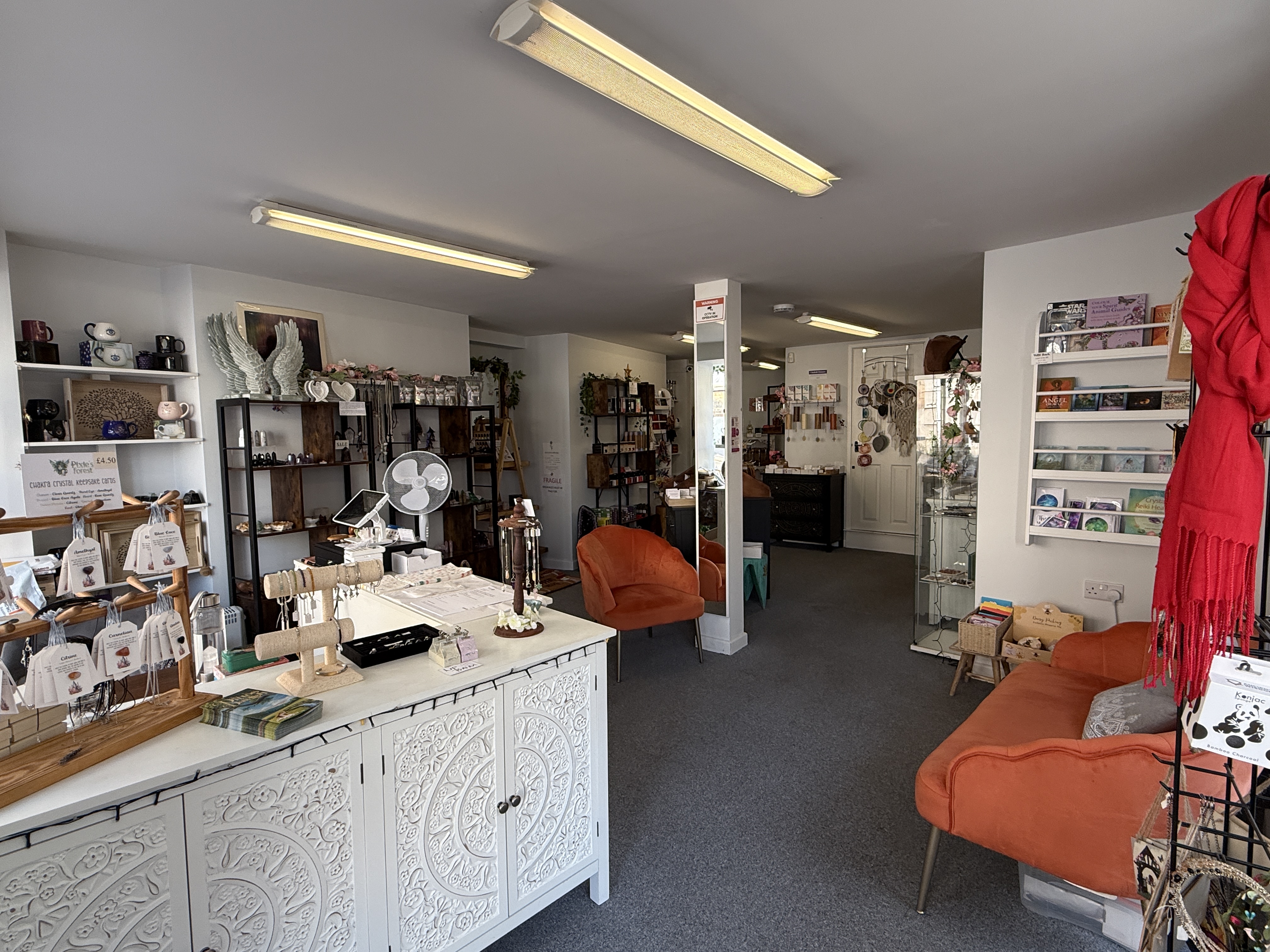 Retail/Shop in Dawlish - photo 2